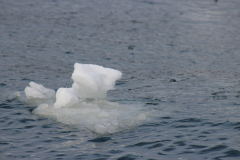 Sassnitz_2014-212